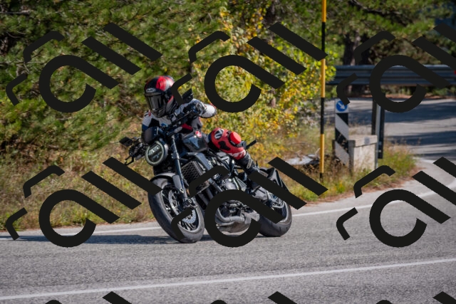 202510191300-DSC_7565_c4_