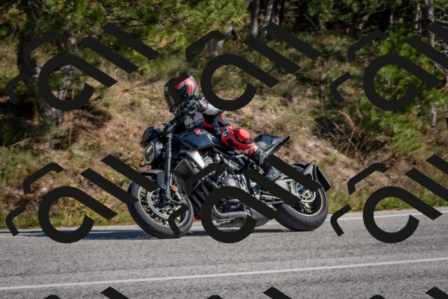 202510191300-DSC_7566_c4_