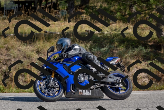 202510191300-DSC_7568_c4_