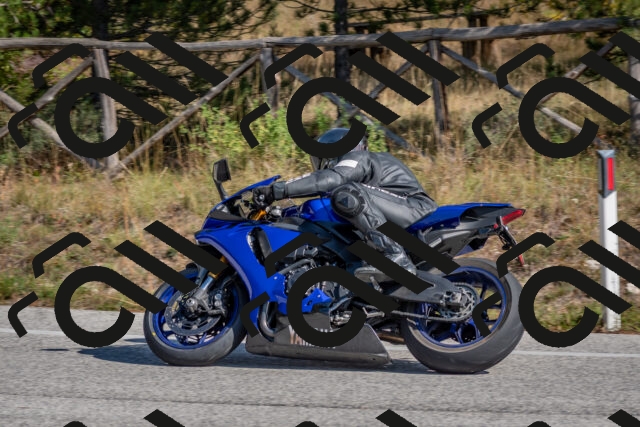 202510191300-DSC_7569_c4_