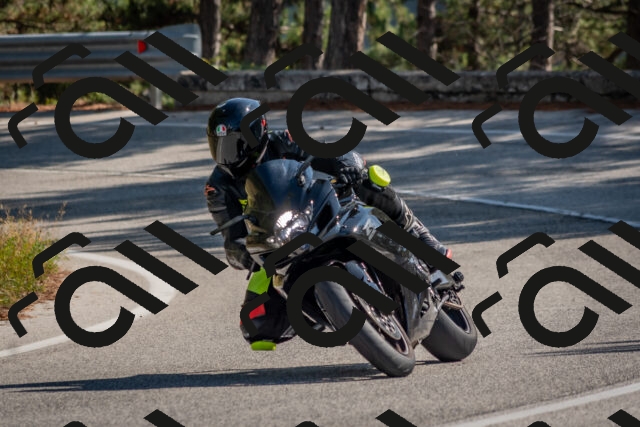 202510191300-DSC_7571_c4_