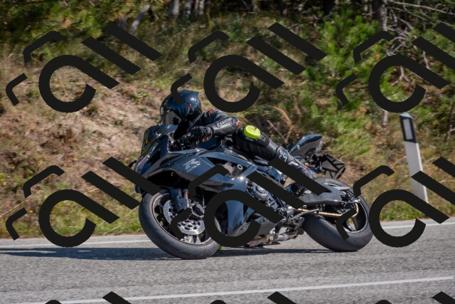 202510191300-DSC_7572_c4_