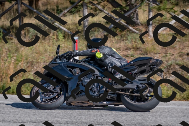 202510191300-DSC_7573_c4_