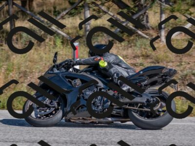 202510191300-DSC_7573_c4_