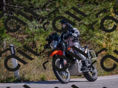 202510191300-DSC_7575_c4_