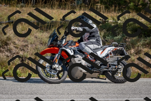 202510191300-DSC_7576_c4_