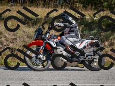 202510191300-DSC_7576_c4_