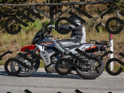 202510191300-DSC_7577_c4_