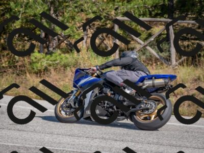 202510191301-DSC_7581_c4_