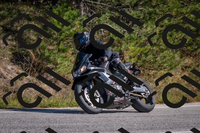 202510191301-DSC_7585_c4_