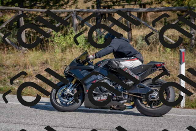 202510191301-DSC_7587_c4_