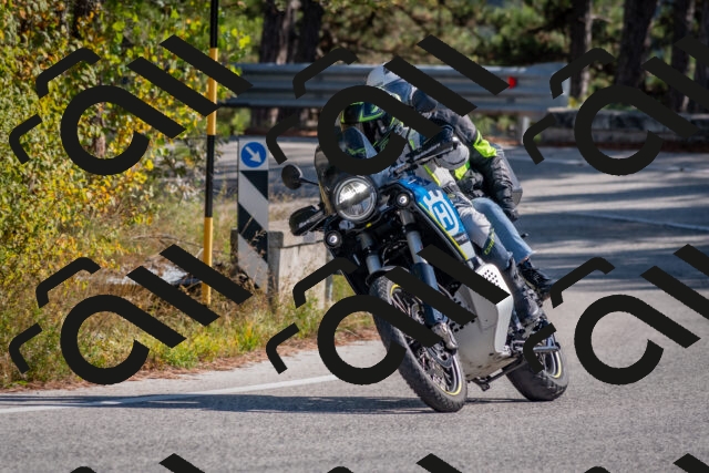 202510191301-DSC_7588_c4_