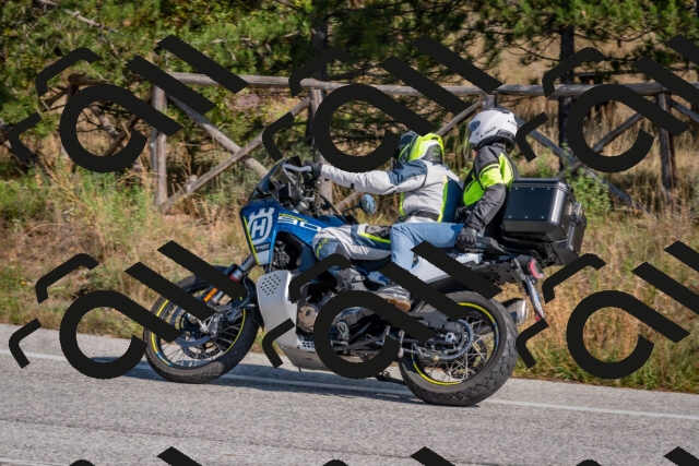 202510191301-DSC_7591_c4_