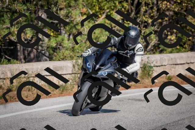 202510191302-DSC_7592_c4_