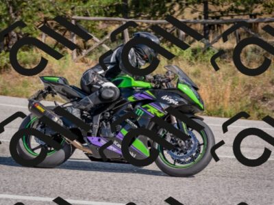 202510191302-DSC_7599_c4_