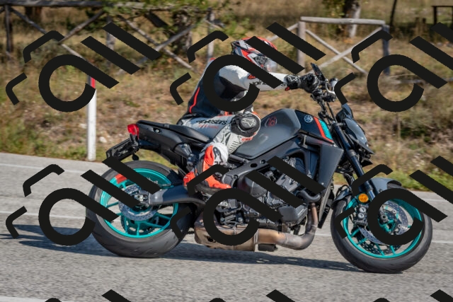 202510191302-DSC_7602_c4_