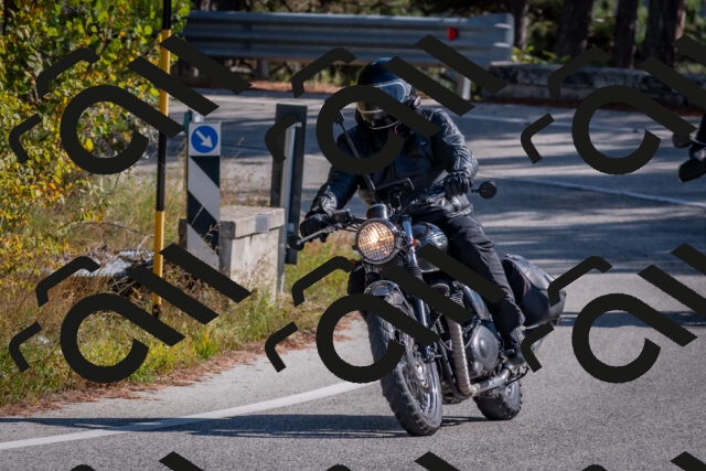 202510191302-DSC_7603_c4_