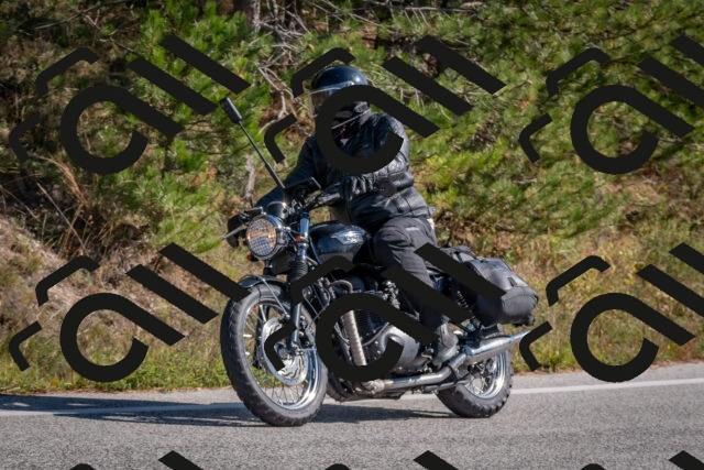 202510191302-DSC_7605_c4_