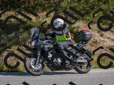 202510191302-DSC_7608_c4_