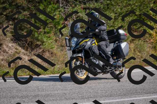 202510191302-DSC_7609_c4_