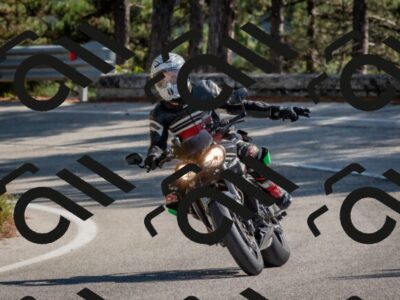 202510191303-DSC_7612_c4_