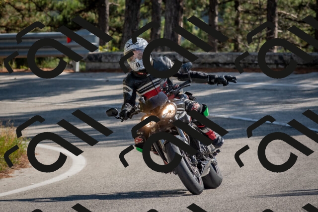 202510191303-DSC_7612_c4_