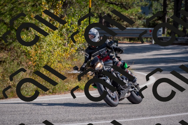 202510191303-DSC_7613_c4_