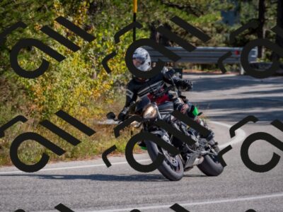 202510191303-DSC_7613_c4_