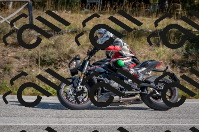 202510191303-DSC_7615_c4_