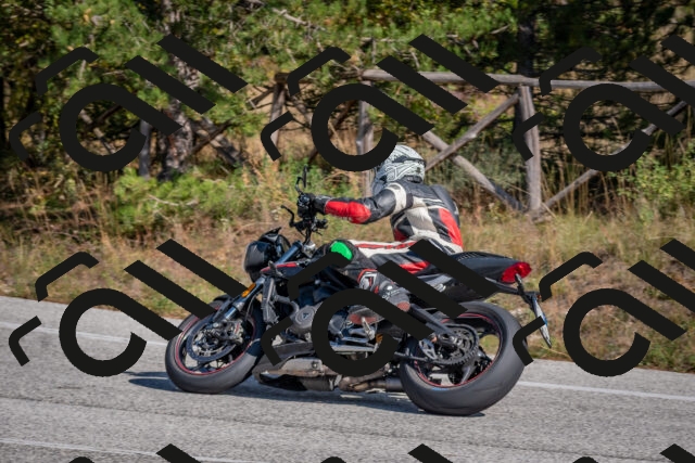 202510191303-DSC_7616_c4_