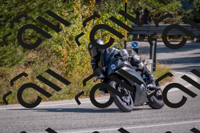 202510191304-DSC_7618_c4_