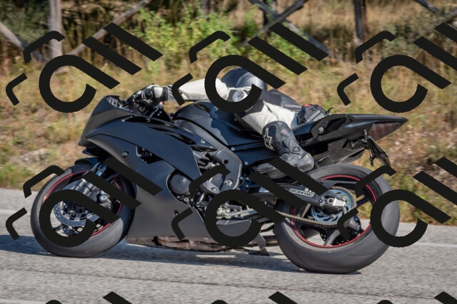 202510191304-DSC_7620_c4_