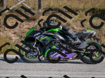 202510191304-DSC_7625_c4_