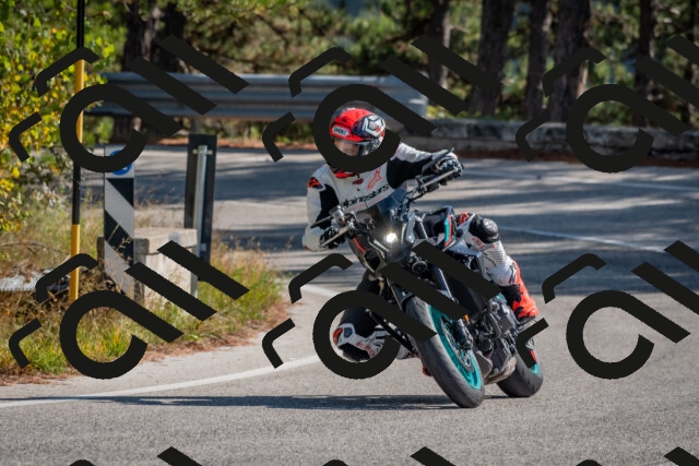 202510191304-DSC_7629_c4_