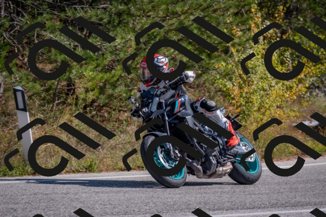 202510191304-DSC_7630_c4_