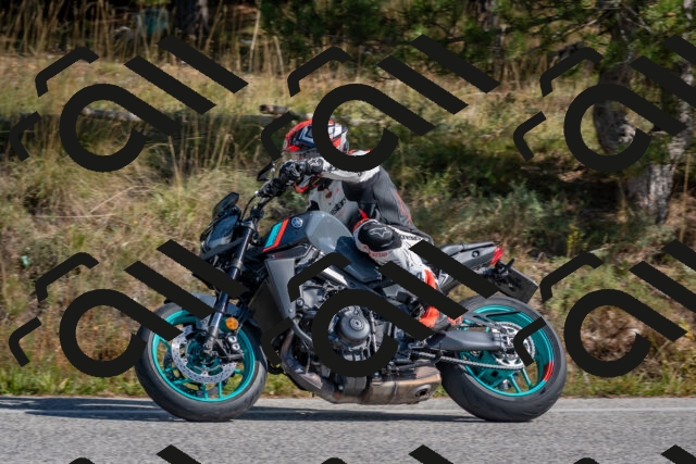 202510191304-DSC_7631_c4_