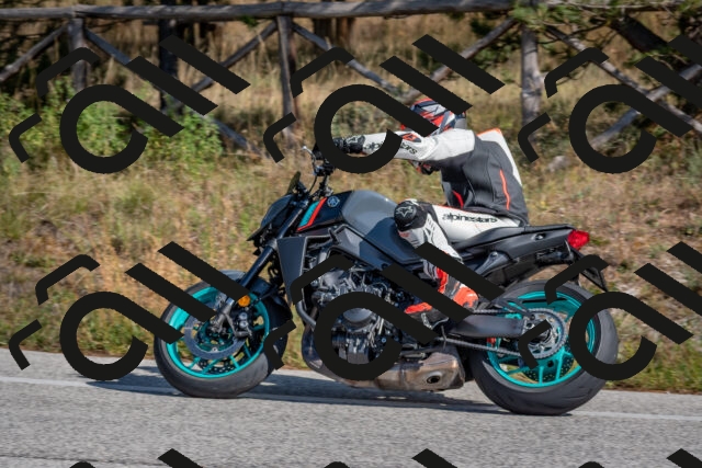 202510191304-DSC_7632_c4_