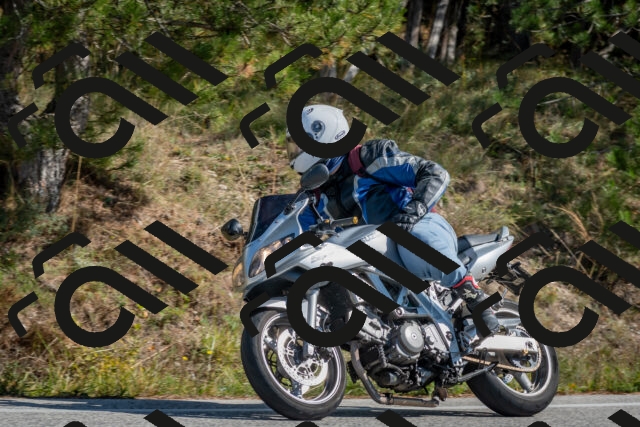 202510191304-DSC_7634_c4_