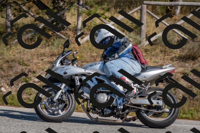 202510191304-DSC_7635_c4_