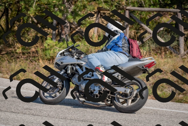 202510191304-DSC_7636_c4_