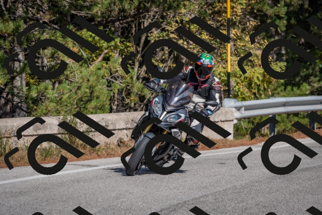 202510191304-DSC_7637_c4_