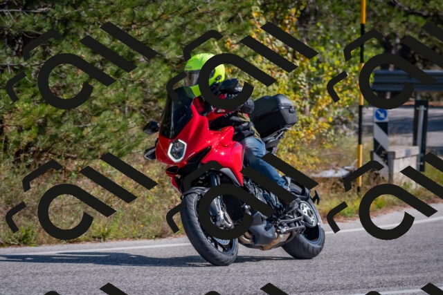 202510191305-DSC_7649_c4_