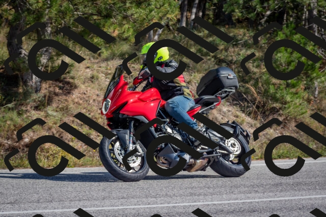 202510191305-DSC_7650_c4_