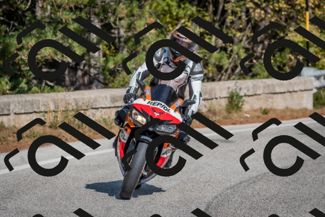 202510191305-DSC_7653_c4_