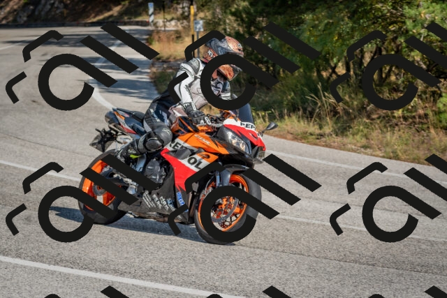 202510191305-DSC_7655_c4_