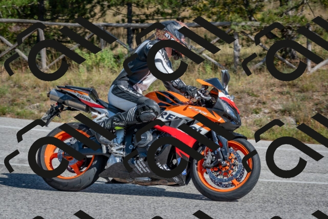 202510191305-DSC_7656_c4_