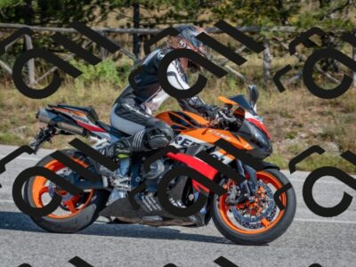 202510191305-DSC_7656_c4_