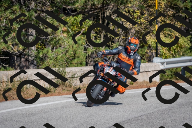 202510191307-DSC_7663_c4_