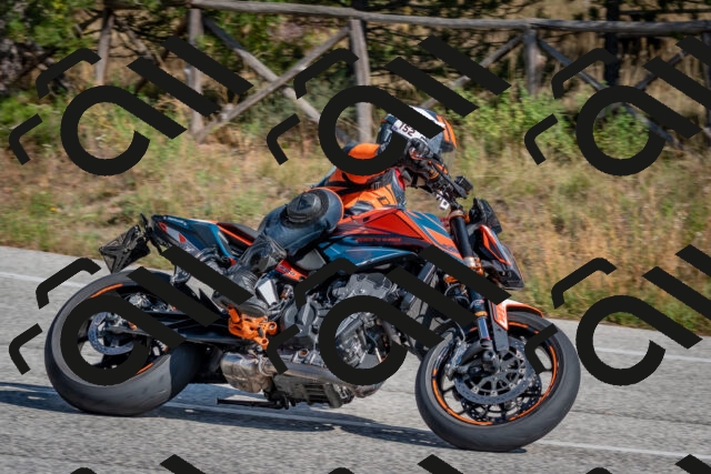 202510191307-DSC_7666_c4_