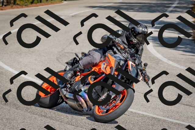 202510191307-DSC_7667_c4_